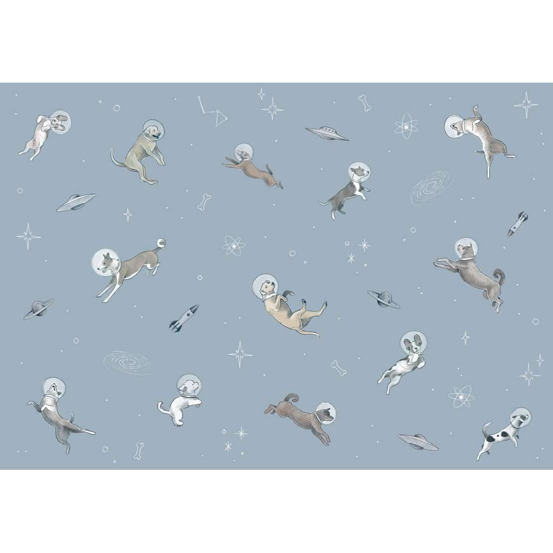 Doggy Gravity-behang-Tapete-Coordonne-Selected Wallpapers