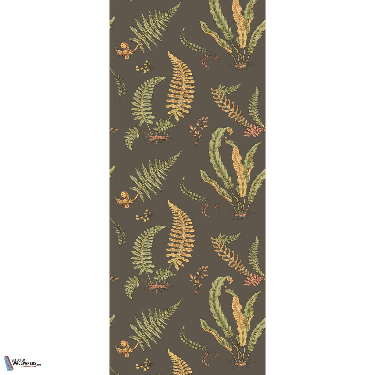 Ferns-behang-Tapete-GP&J Baker-Charcoal-Rol-BW45122.5-Selected Wallpapers