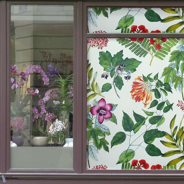 Miami-behang-Tapete-Pierre Frey-Selected Wallpapers