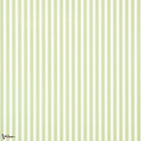 New Tiger Stripe-behang-Tapete-Sanderson-Green/Ivory-Rol-DCAVTP103-Selected Wallpapers