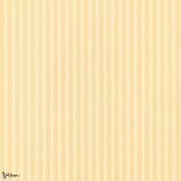New Tiger Stripe-behang-Tapete-Sanderson-Honey/Cream-Rol-DCAVTP104-Selected Wallpapers