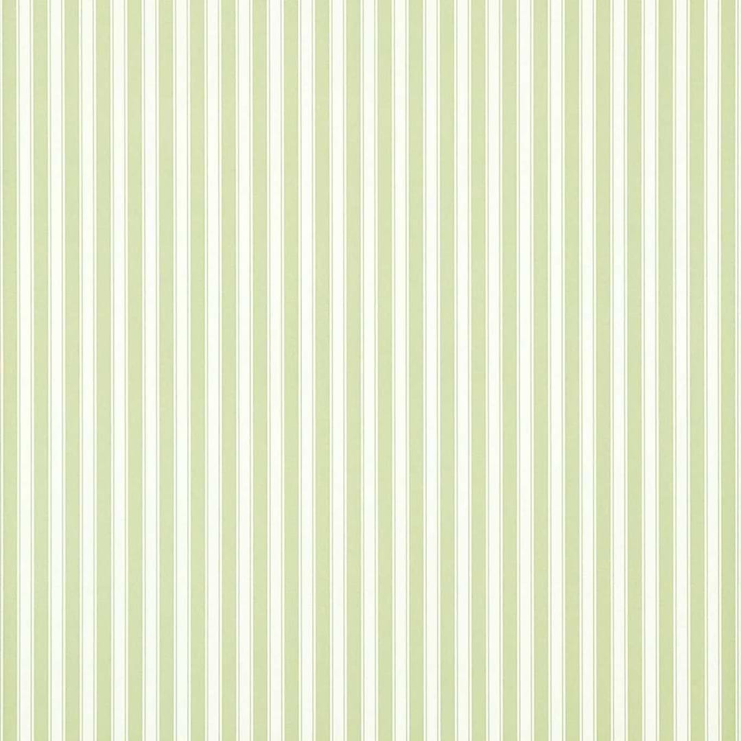 New Tiger Stripe-behang-Tapete-Sanderson-Green/Ivory-Rol-DCAVTP103-Selected Wallpapers