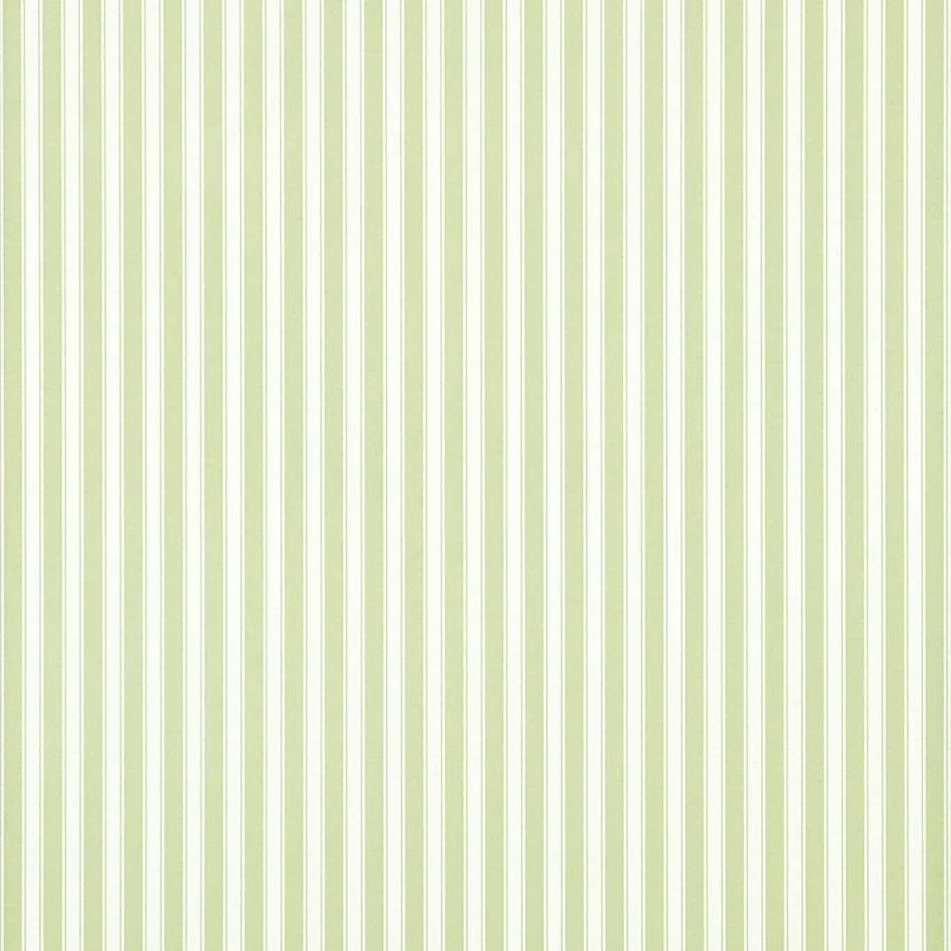 New Tiger Stripe-behang-Tapete-Sanderson-Green/Ivory-Rol-DCAVTP103-Selected Wallpapers