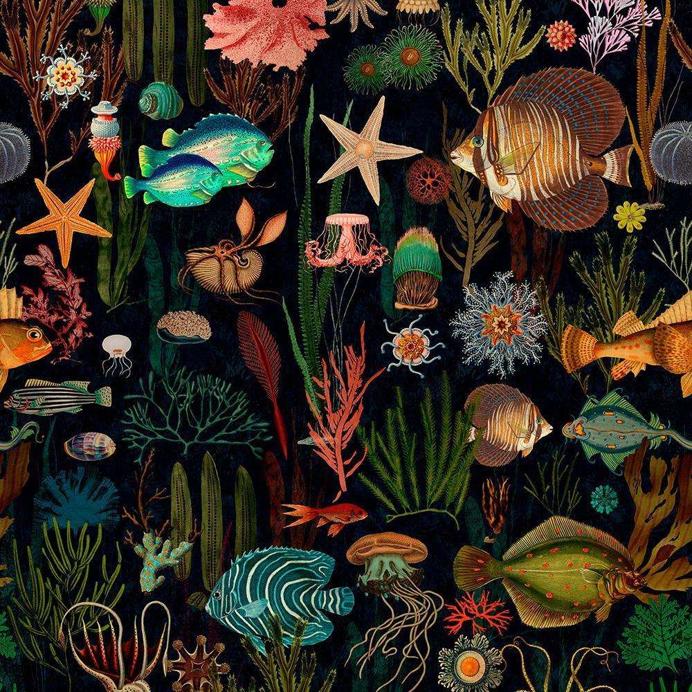 oceania wallpaper mind the gap
