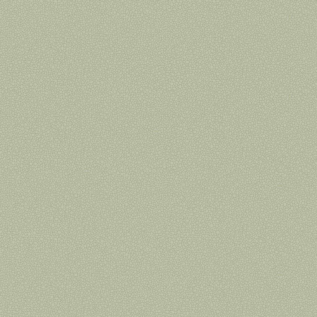 Pebble-Behang-Tapete-Cole & Son-Soft Olive-Rol-106/2027-Selected Wallpapers