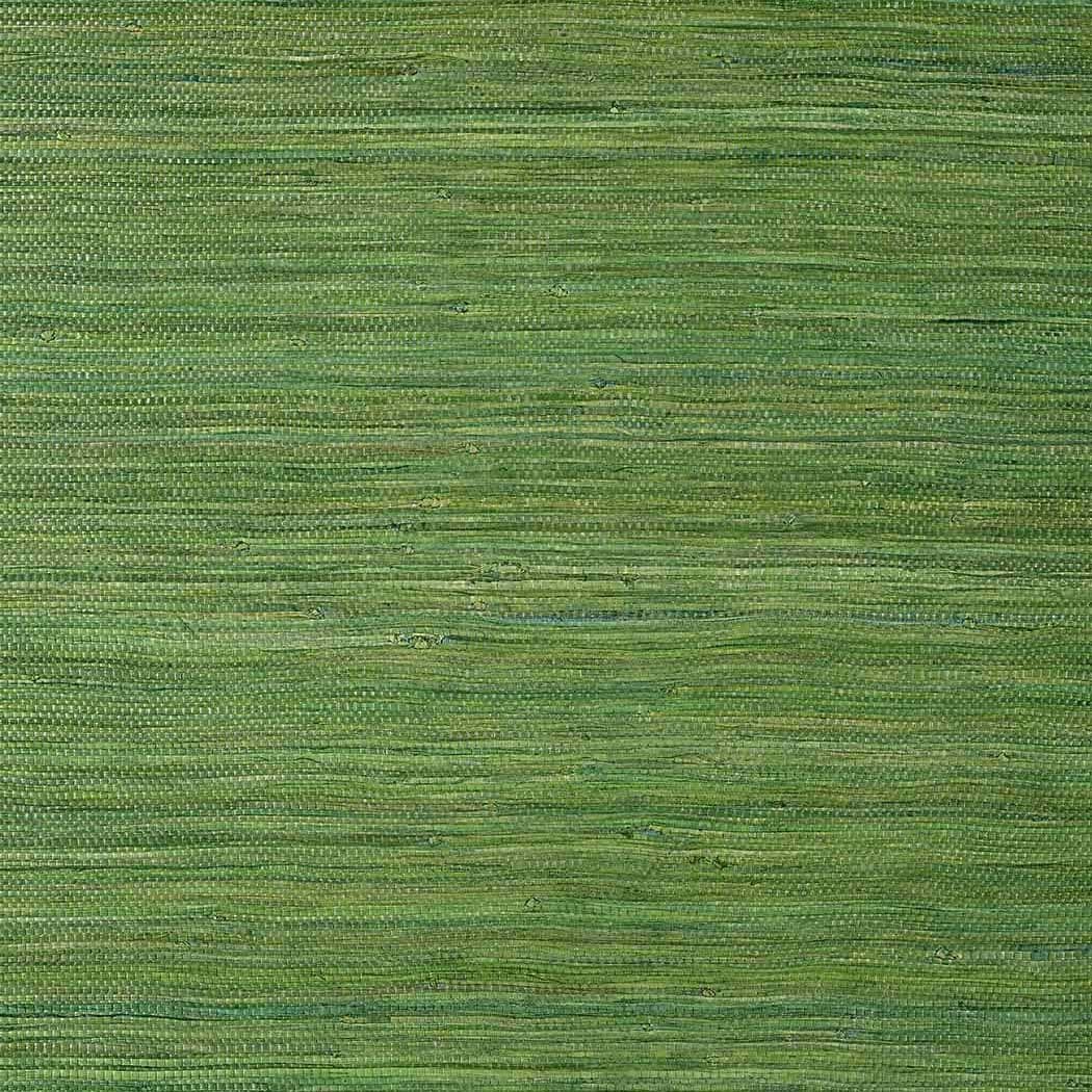 Raffia Palm-Behang-Tapete-Thibaut-Emerald Green-Rol-T24074-Selected Wallpapers