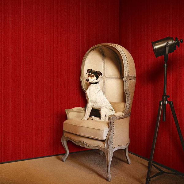 Soft Comfort Natural Palette-behang-Greenland-Selected Wallpapers