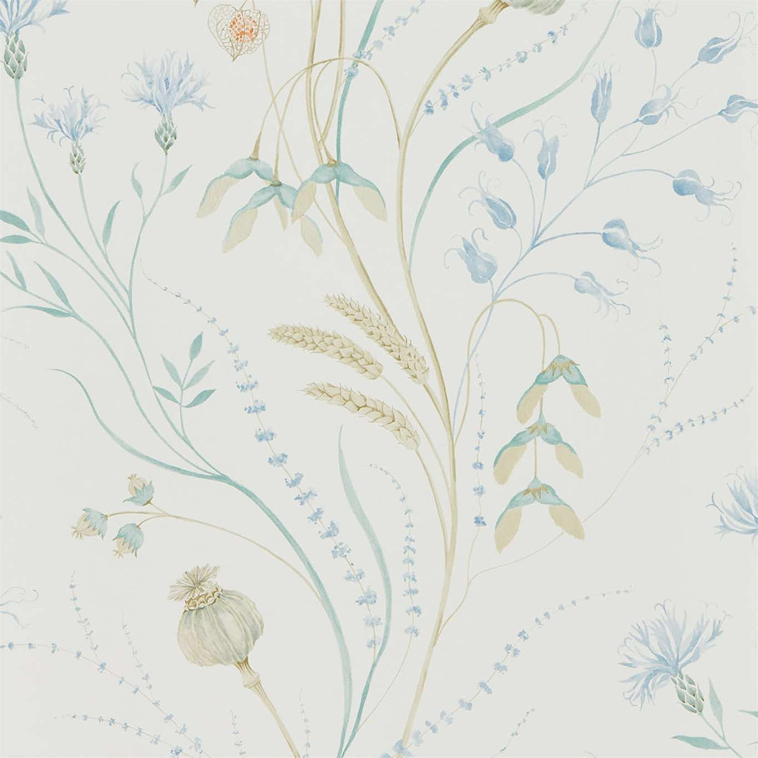Summer Harvest-behang-Tapete-Sanderson-Cornflower/Wheat-Rol-216496-Selected Wallpapers