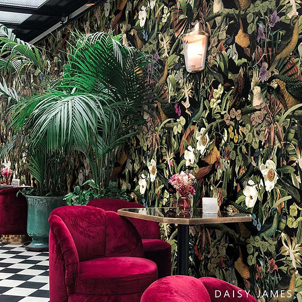 The Bird of Paradise Colour behang-behang-Daisy James-Selected Wallpapers &amp; Interiors