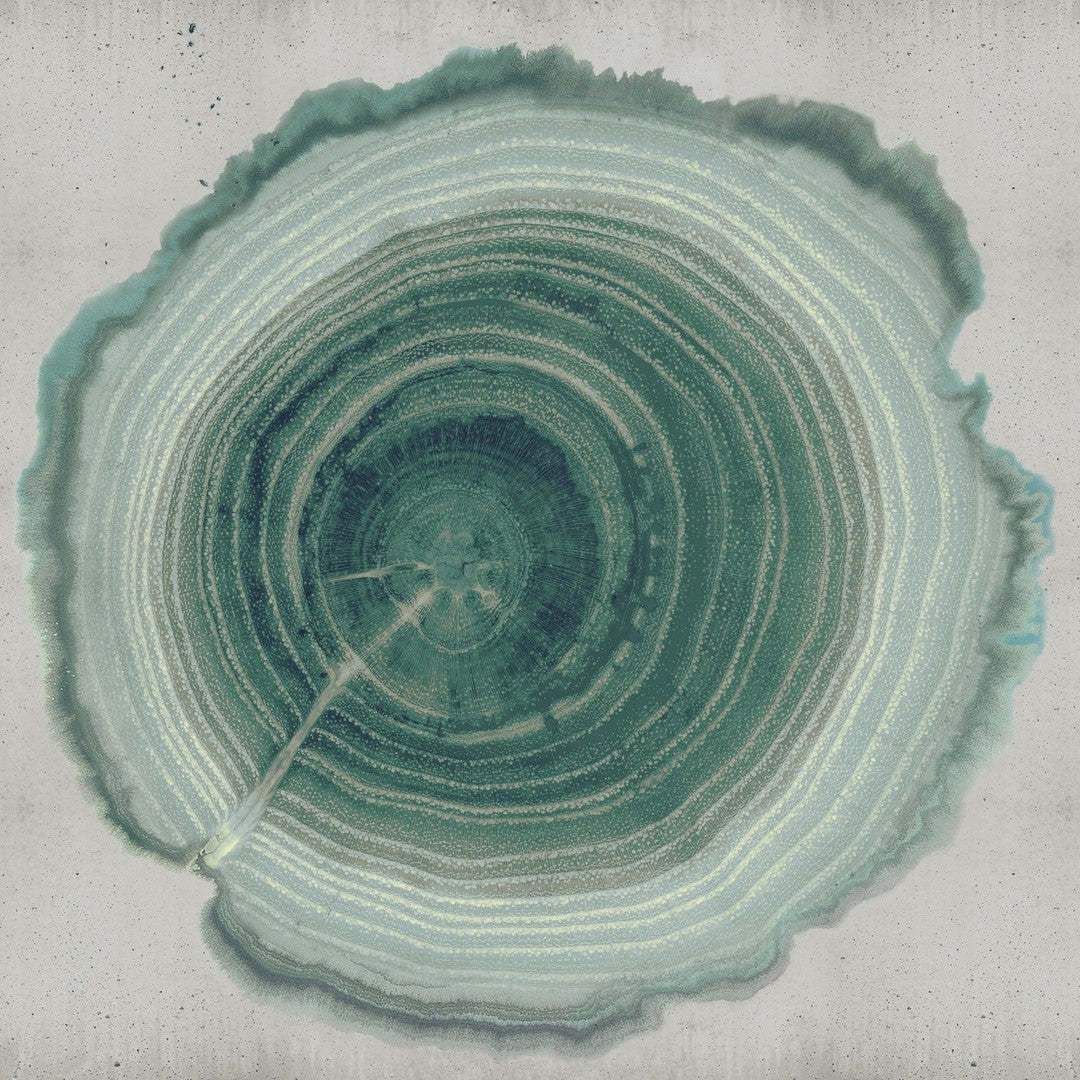Tree of Life-Behang-Wall & Deco-01-CWC-WDEE2101-Selected Wallpapers