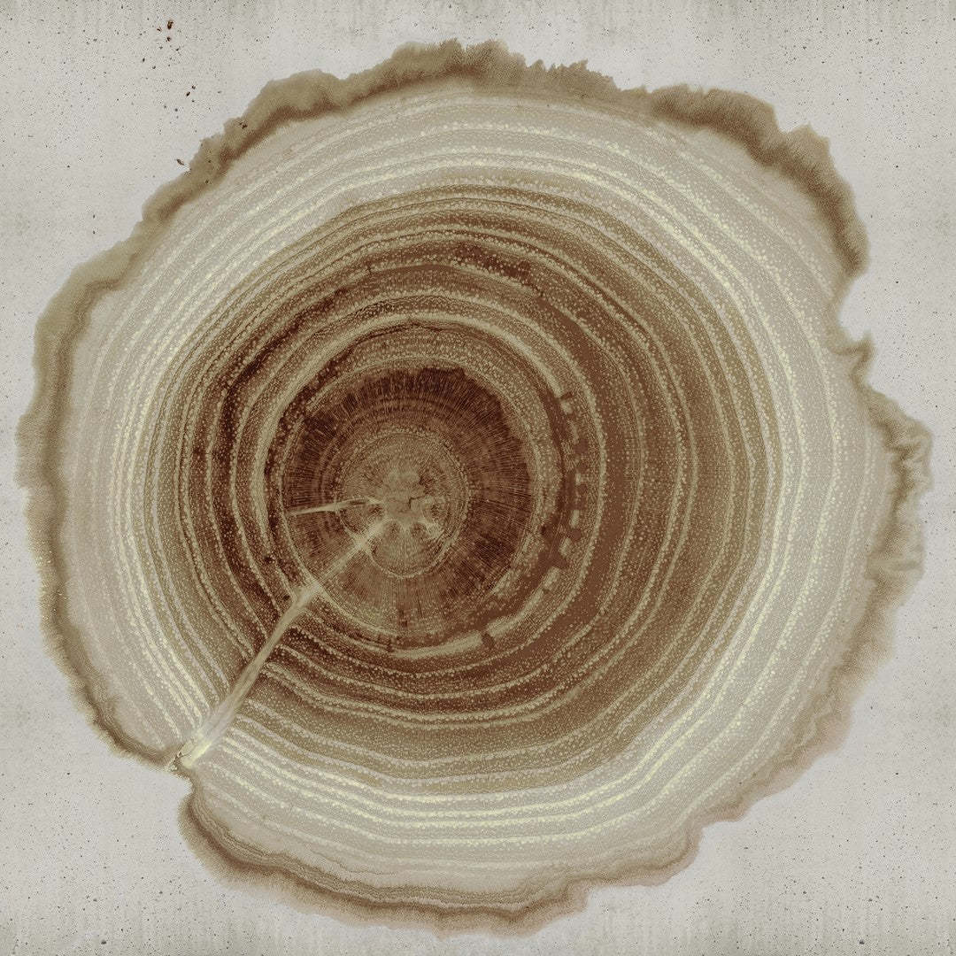 Tree of Life-Behang-Wall & Deco-02-CWC-WDEE2102-Selected Wallpapers