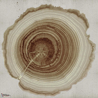 Tree of Life-Behang-Wall & Deco-02-CWC-WDEE2102-Selected Wallpapers