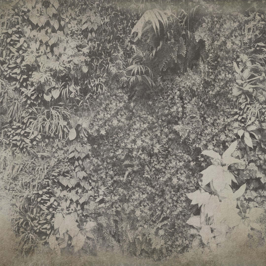 Vertical Green-Behang-Wall & Deco-02-CWC-WDVG1502-Selected Wallpapers