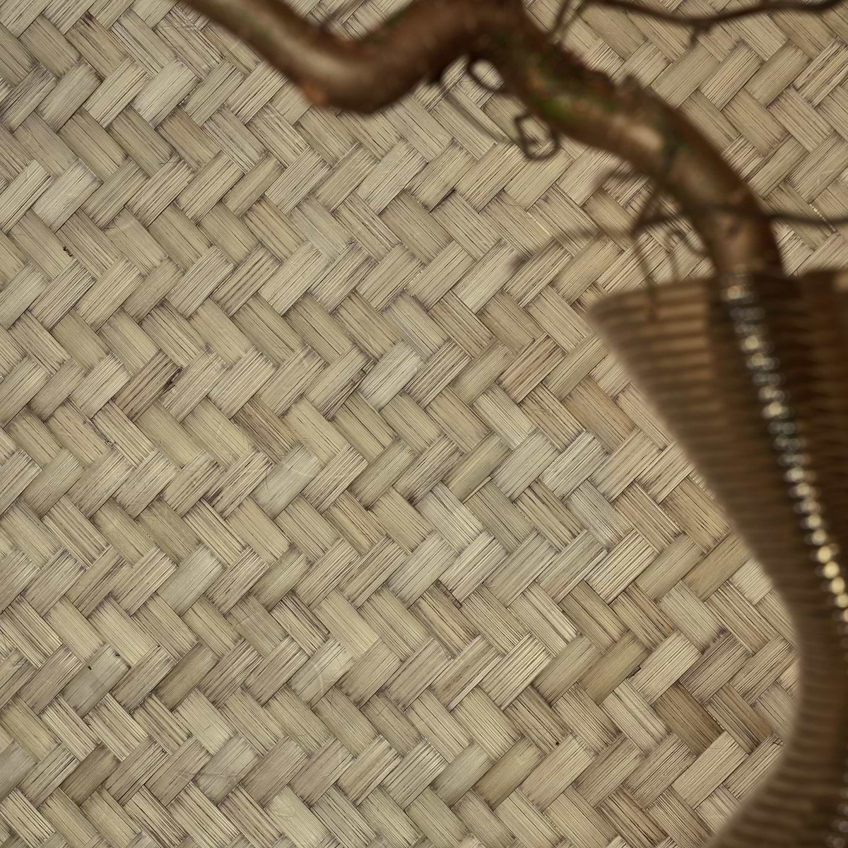 Bamboo Wallcovering Tapetenkollektion CMO Paris