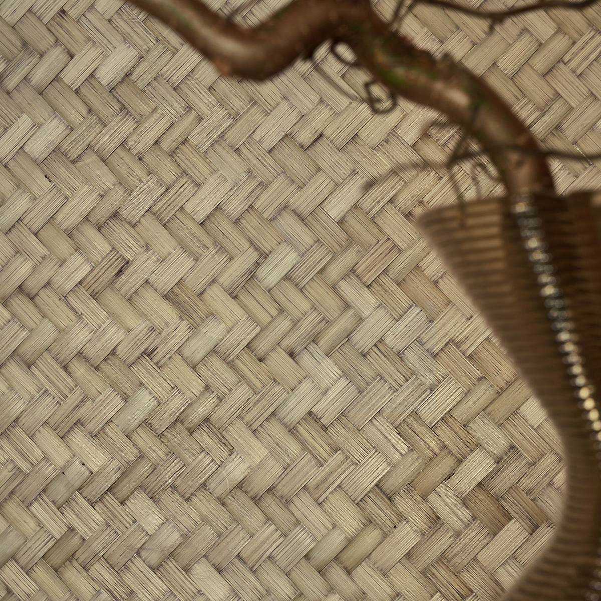 Bamboo Wallcovering Tapetenkollektion CMO Paris