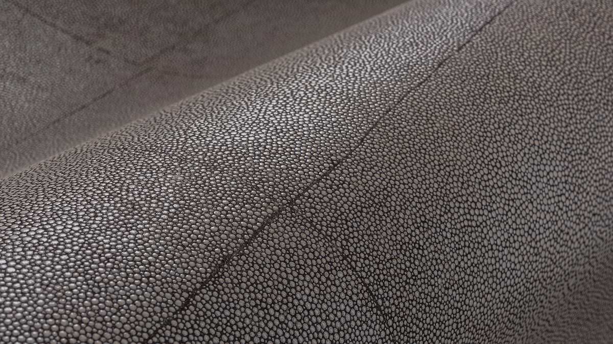 Dierenhuid wallpaper Selected Wallpapers