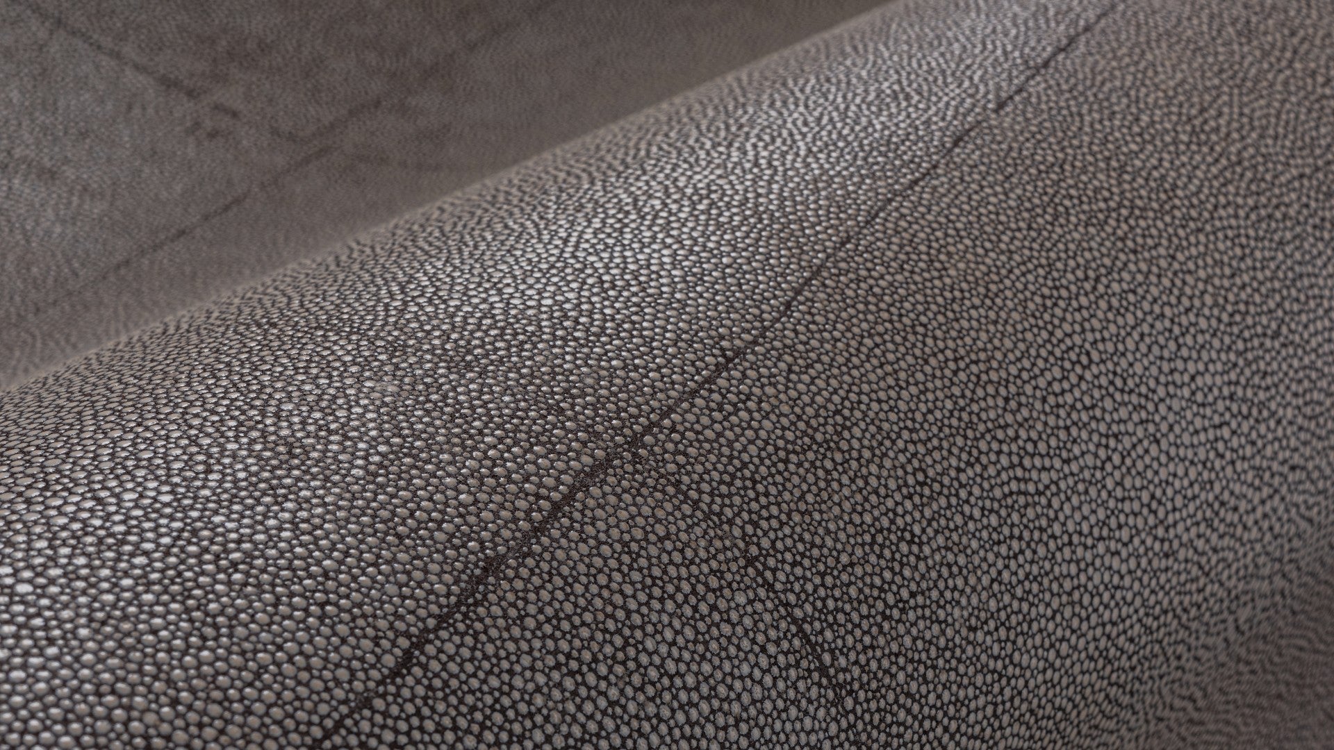 Dierenhuid behang Selected Wallpapers