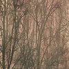 Altea Tapete-Inkiostro Bianco-Selected Wallpapers & Interiors