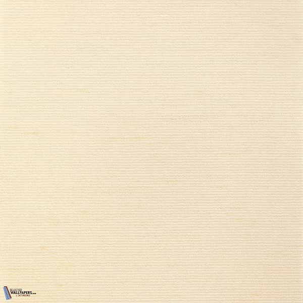 Aditi-Vescom-23-Meter (M1)-Selected-Wallpapers-Interiors