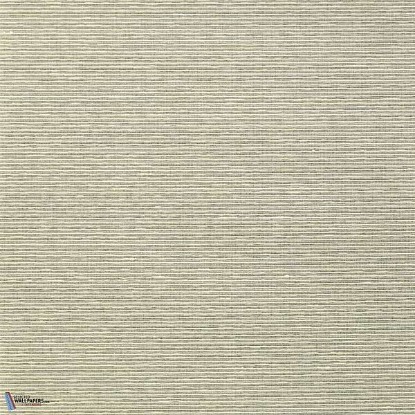 Aditi-Vescom-24-Meter (M1)-Selected-Wallpapers-Interiors