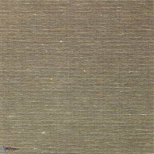 Aditi-Vescom-26-Meter (M1)-Selected-Wallpapers-Interiors