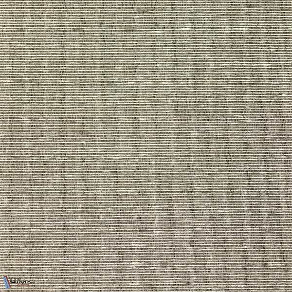 Aditi-Vescom-27-Meter (M1)-Selected-Wallpapers-Interiors