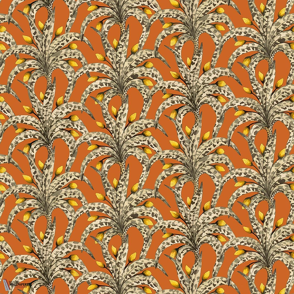 Afrika Damask behang-Cole & Son-Tangarine & Marigold-Rol-Selected Wallpapers-Interiors