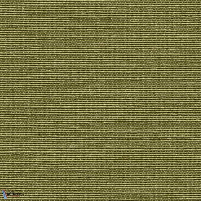 Agave-Arte-wallpaper-behang-Tapete-wallpaper-Selected Wallpapers