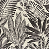 Aloë-behang-Tapete-Casamance-Noir/Grege-Rol-75183886-Selected Wallpapers