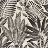 Aloë-behang-Tapete-Casamance-Noir/Grege-Rol-75183886-Selected Wallpapers