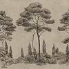 Andrea wallpaper-Sandberg-Graphite-Mattic-M2-Selected Wallpapers-Interiors