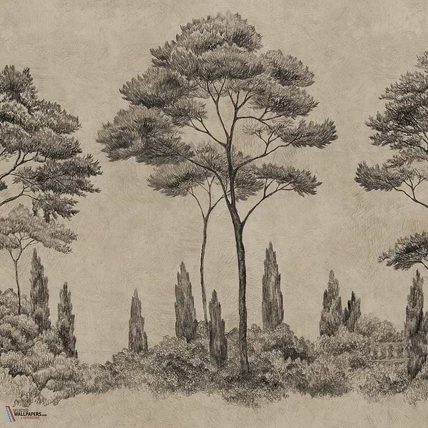 Andrea wallpaper-Sandberg-Graphite-Mattic-M2-Selected Wallpapers-Interiors