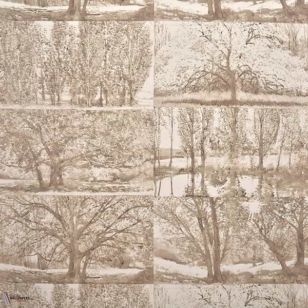 Arbes et sous Bois behang-Pierre Frey-Bouleau-Meter (M1)-Selected Wallpapers-Interiors