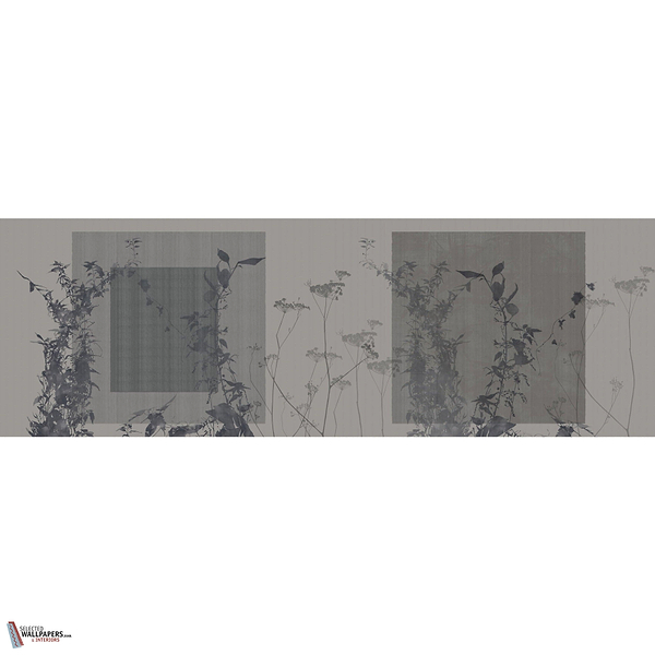 ARBOR VITAE GLXV521 Combined Design