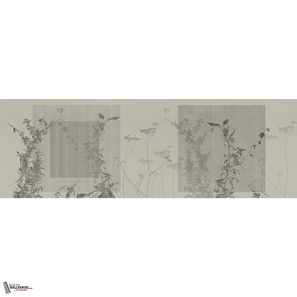 ARBOR VITAE GLXV522 Combined Design