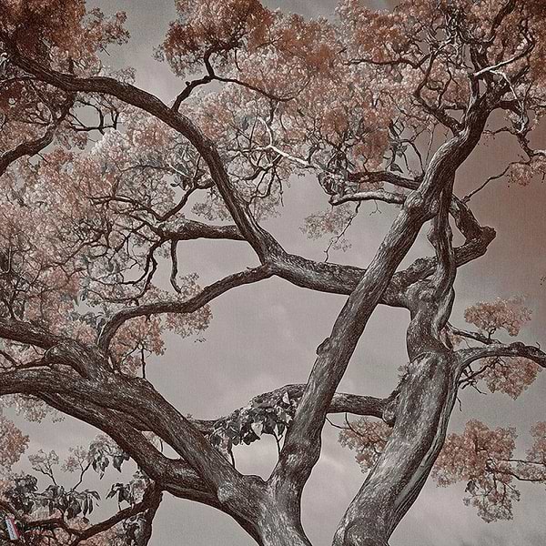 Arborescent Labyrinth behang-behang-LondonArt-2-RAW-S120-M2-Selected Wallpapers & Interiors