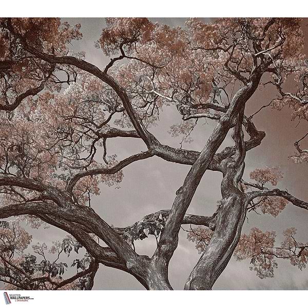 Arborescent Labyrinth behang-behang-LondonArt-Selected Wallpapers & Interiors