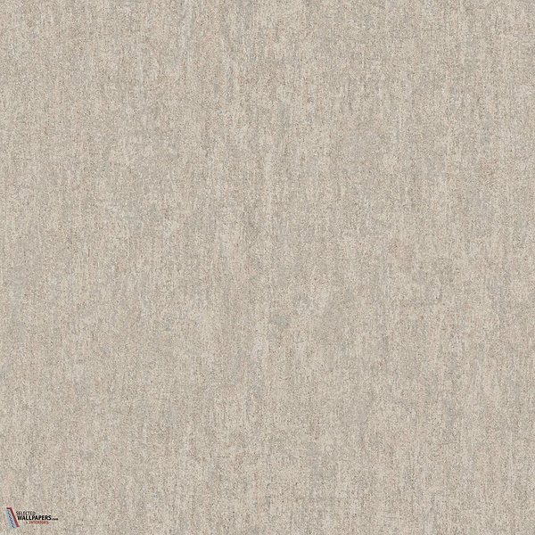 Auren MIR231 packshot