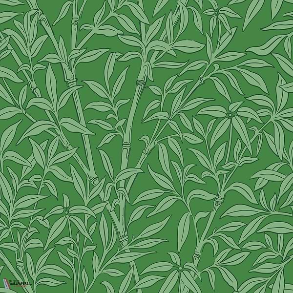 Bamboo Forest behang-Cole & Son-Emerald-Rol-Selected Wallpapers-Interiors