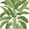 Banana Tree-Behang-Tapete-Thibaut-Green-Rol-T13914-Selected Wallpapers