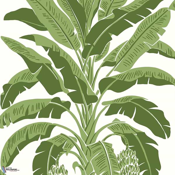 Banana Tree-Behang-Tapete-Thibaut-Green-Rol-T13914-Selected Wallpapers