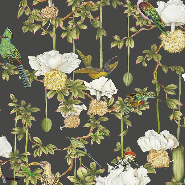 Baobab Botanica behang-Cole & Son-Onyx-Rol-Selected Wallpapers-Interiors