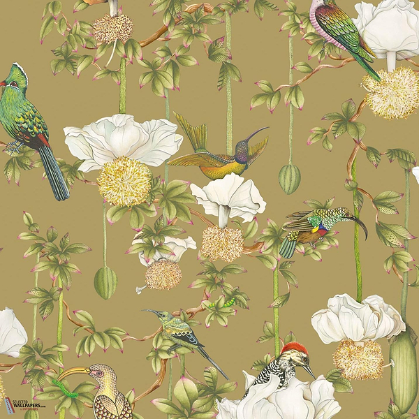 Baobab Botanica behang-Cole & Son-Safari-Rol-Selected Wallpapers-Interiors