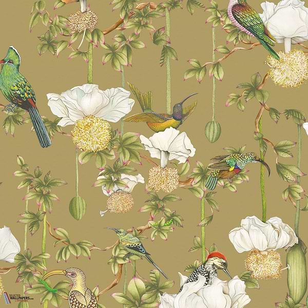 Baobab Botanica behang-Cole & Son-Safari-Rol-Selected Wallpapers-Interiors