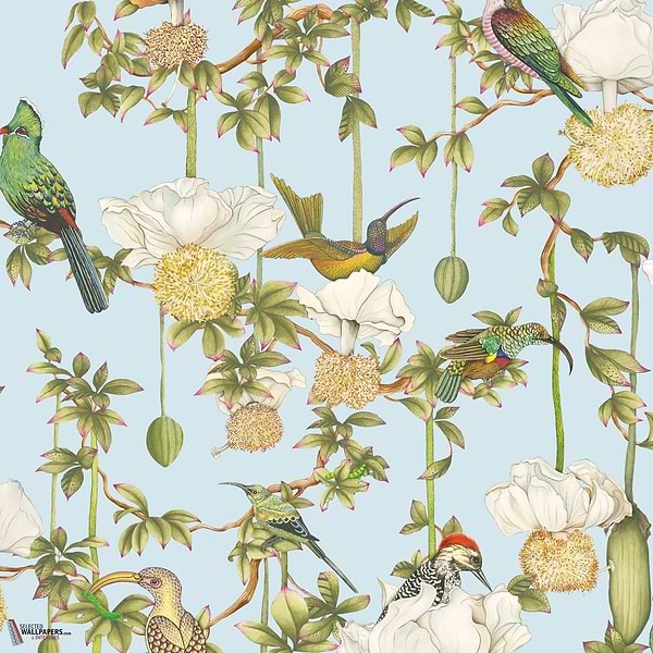 Baobab Botanica behang-Cole & Son-Sky Blue-Rol-Selected Wallpapers-Interiors