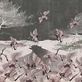 Begin to Fly-Behang-Tapete-Inkiostro Bianco-2-Vinyl 68 cm-INKNLIA2302-Selected Wallpapers