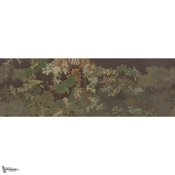 BOMARZO GLXVI321 Combined Design