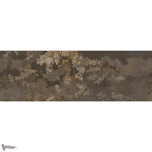 BOMARZO GLXVI322 Combined Design