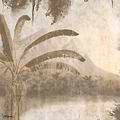 Borneo-Behang-Tapete-Texam-1600-Set-id1600-Selected Wallpapers