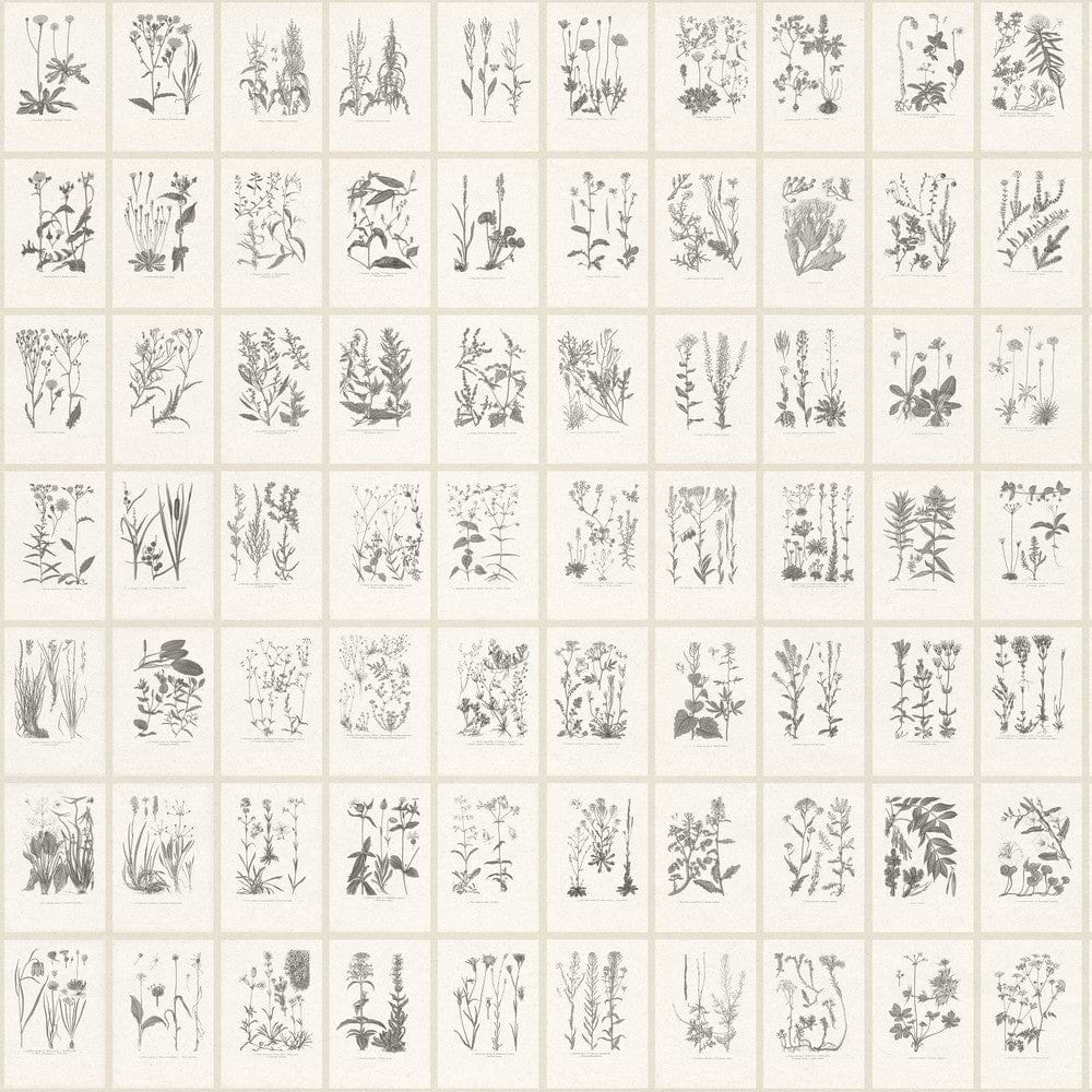 Botanica behang-Sandberg-Graphite-Mattic-M2-Selected Wallpapers-Interiors
